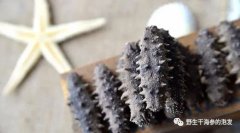 求最简单易懂的海参泡发方法海参怎么发？